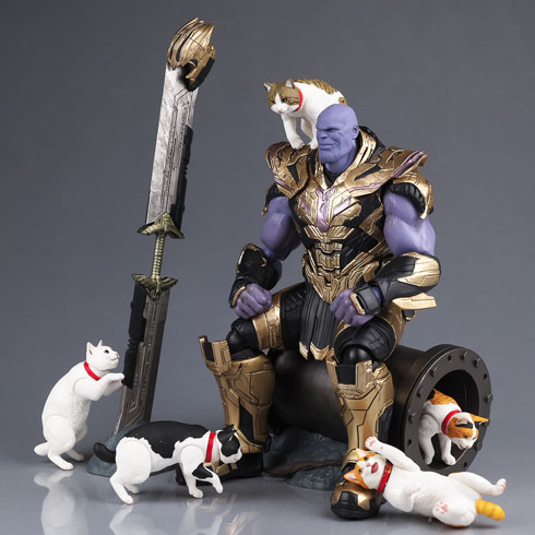 ニャンズ・ライフ