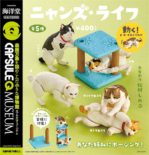 ニャンズ・ライフ