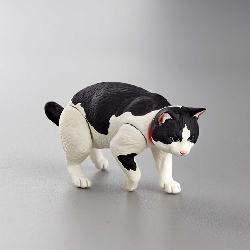 ニャンズ・ライフ