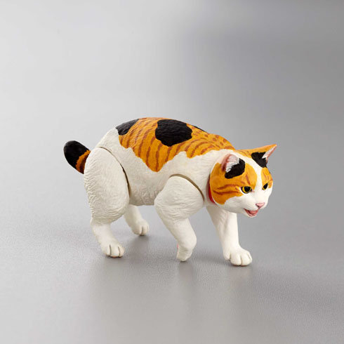 ニャンズ・ライフ