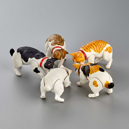 ニャンズ・ライフ