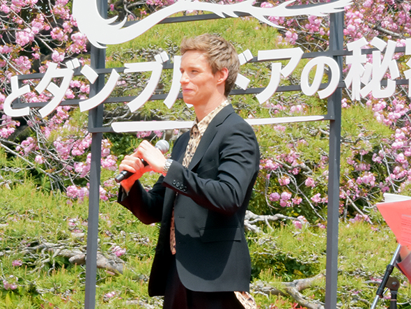 エディ・レッドメイン