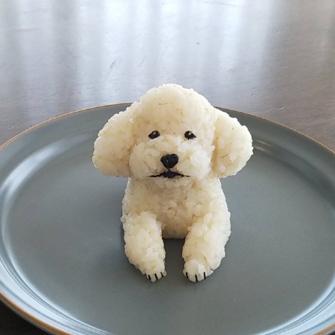 トイプードルのおにぎり