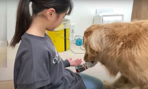 手をだしてる姉