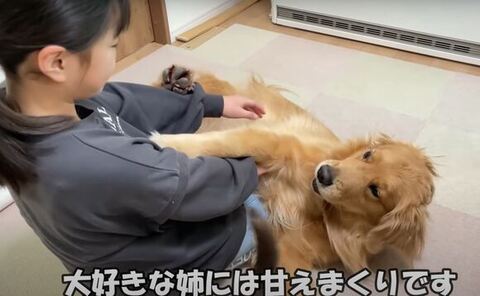 軽く起き上がるクッキーくん