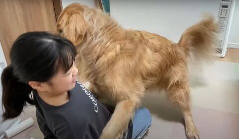 飛び掛かるクッキーくん