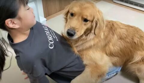 ハグするクッキーくん