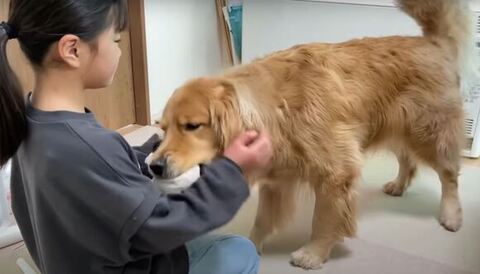 おもちゃくわえてる