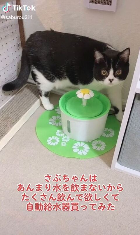 おすすめ