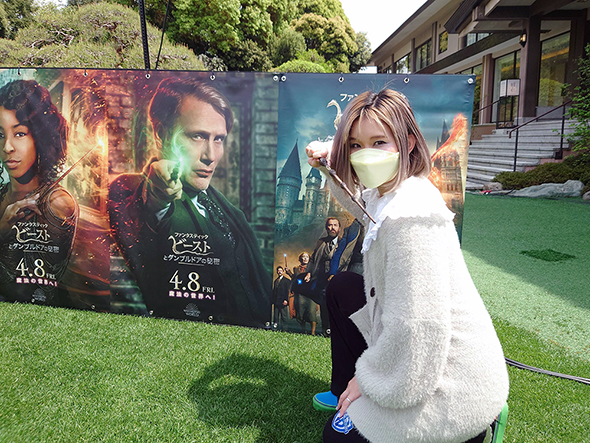 ニワトコの杖と