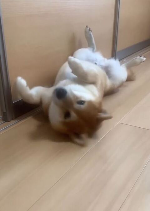 目を覚ました八朔くん