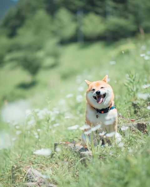 笑顔の八朔くん