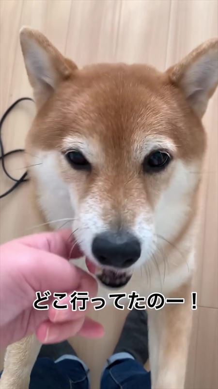 うれしい八朔くん