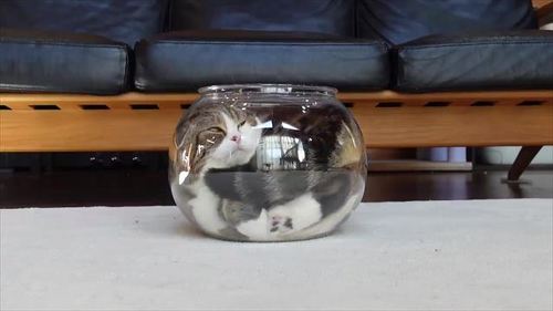 お顔が見えたまるさん