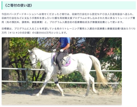 ナイスネイチャ 引退馬 バースデードネーション