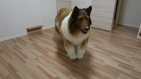 犬の造型スーツ