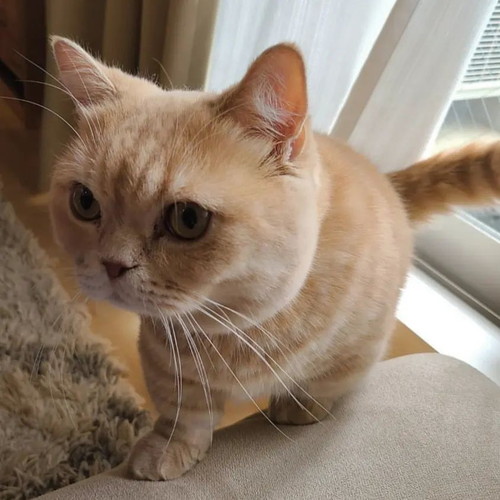 早起きなむぎくん