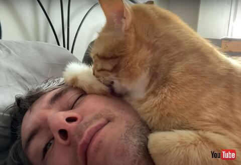 飼い主さんの顔をなめてる猫ちゃん