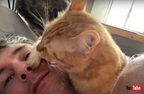 尻尾が飼い主さんの鼻に