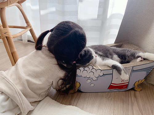 爪とぎで休むごまちゃんと横にいるみゆちゃん