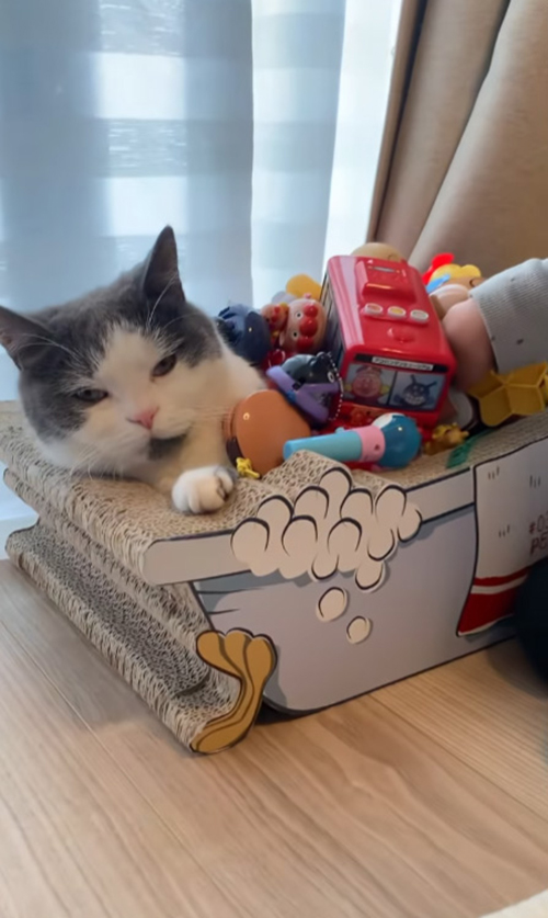 ごまちゃんに接近