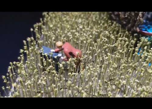 ラピュタ 巨大飛行石 ムスカ ジオラマ