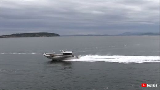 ボート 歩く ロボット 脚