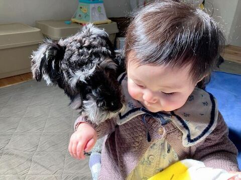 のぞきこむぼるとくん