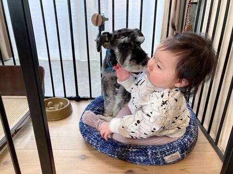 ぼるとくんのお部屋に入るふたり