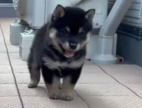 おすすめ