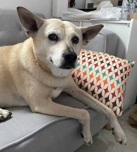 現在のスズメちゃん