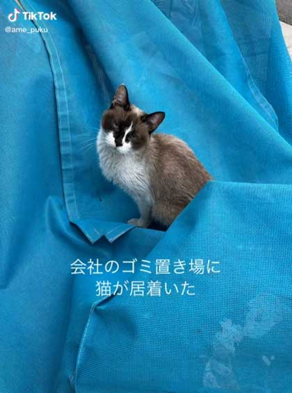 おすすめ