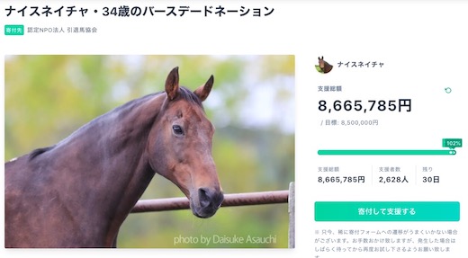 ナイスネイチャ バースデードネーション 競走馬 引退馬 競馬 寄付