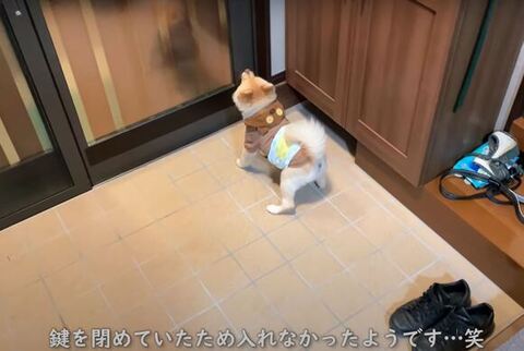 玄関の前にいるポメくん