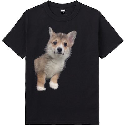 コーギーをTシャツに閉じ込める