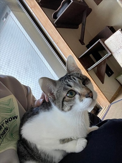 新玉旅館のクラウドファンディング