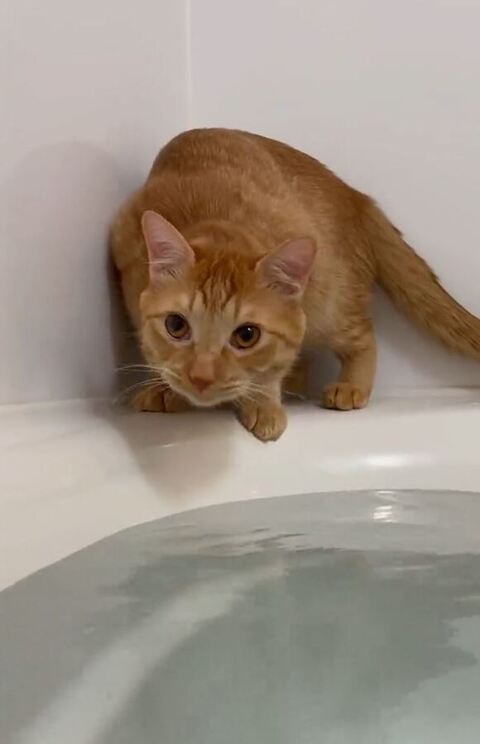 上を向いてる寄り