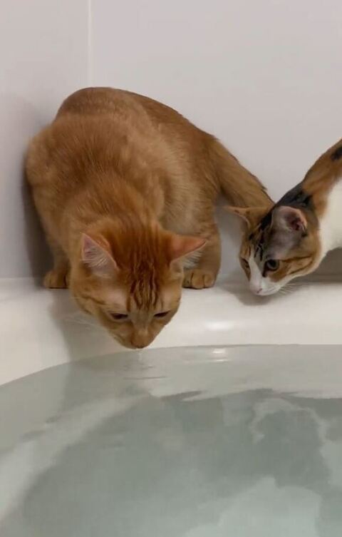 横からまよちゃん見てる