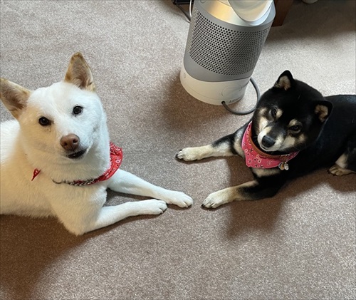 そらさんとくぅさんん