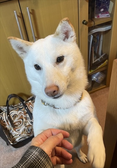 遊んでほしいそらさん