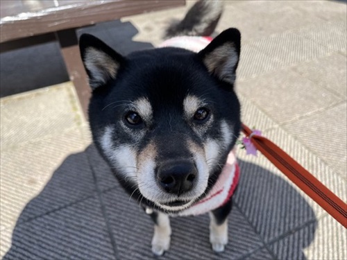 フォトジェニックなくぅさん