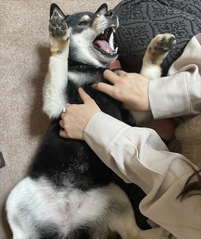 ワキワキされるくぅさん