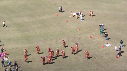 ティラノサウルスレース