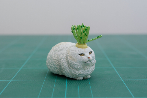 育ちすぎて食べれなくなったダイコン