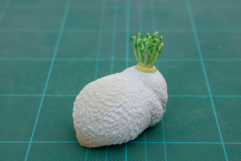 育ちすぎて食べれなくなったダイコン