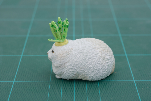 育ちすぎて食べれなくなったダイコン