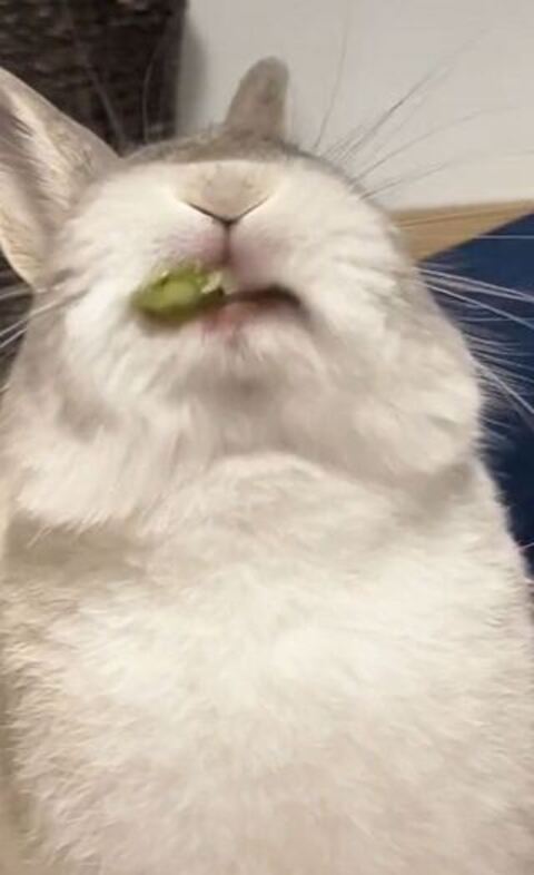 上を向いてる寄り