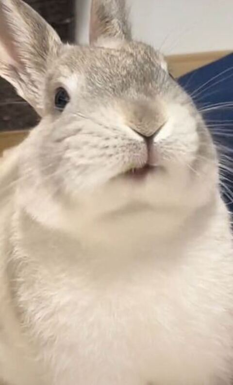 食べ終わって前を向く