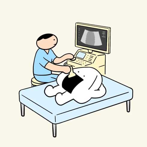 おにぎり エコー検査 アニメ 天むす