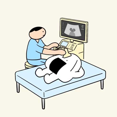 おにぎり エコー検査 アニメ 天むす